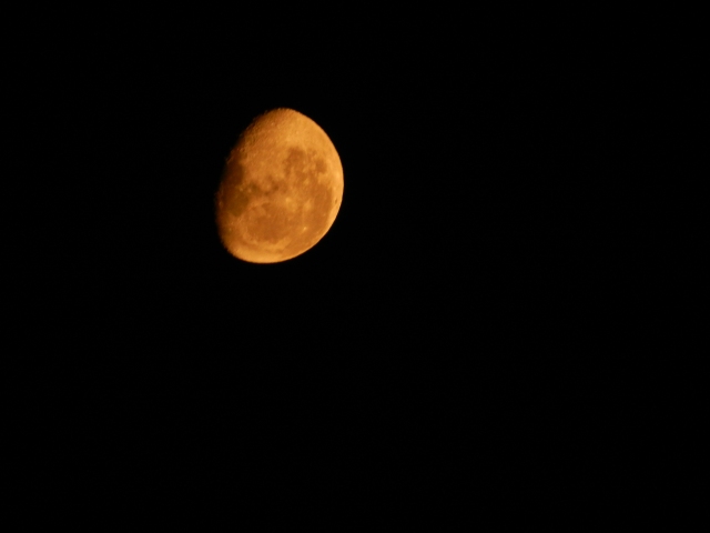 View of the moon from my room in Rome