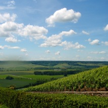 The hills of Champagne, look at all that potential champagne!